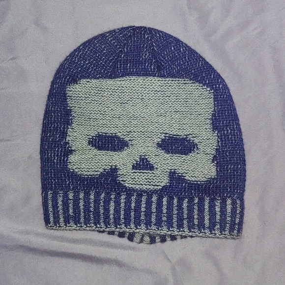 Other - NWOT SKULL BEANIE * GRAY/BLUE * REVERSIBLE * SUPER THICK & SOFT * UNISEX